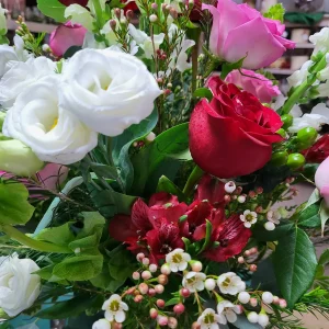 Custom Designer’s Choice